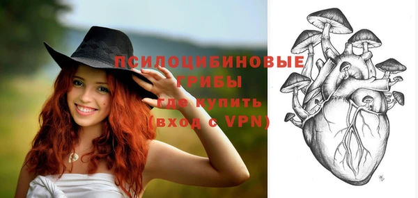 MESCALINE Богородицк
