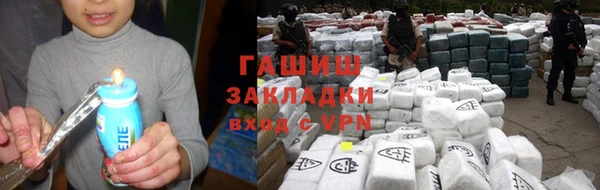 стаф Богданович