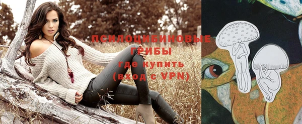 стаф Богданович
