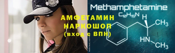стаф Богданович