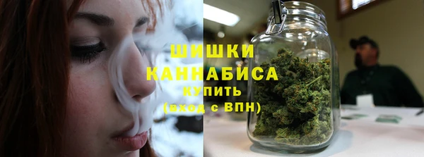 стаф Богданович
