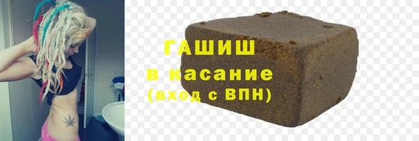 стаф Богданович