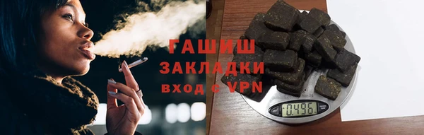 стаф Богданович