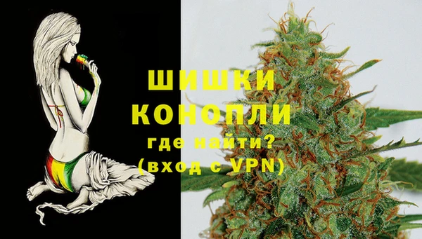 стаф Богданович