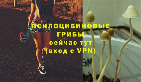 MESCALINE Богородицк
