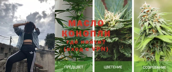 крисы Богородск