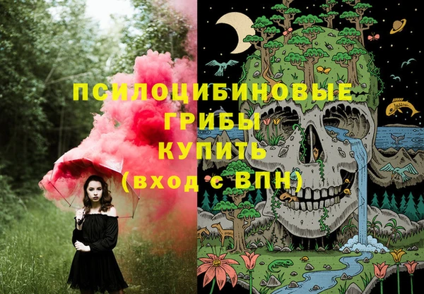 крисы Богородск