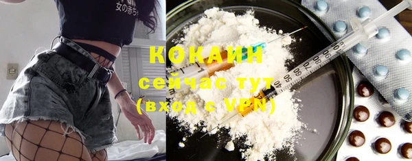 стаф Богданович