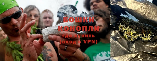 крисы Богородск