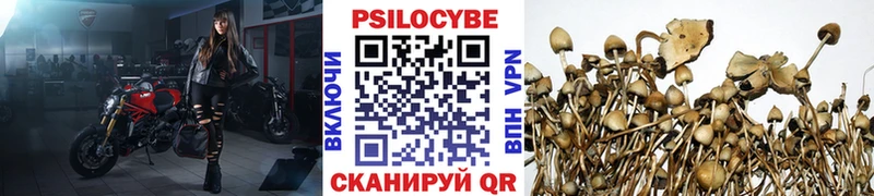 Псилоцибиновые грибы Psilocybine cubensis  что такое наркотик  Котовск 
